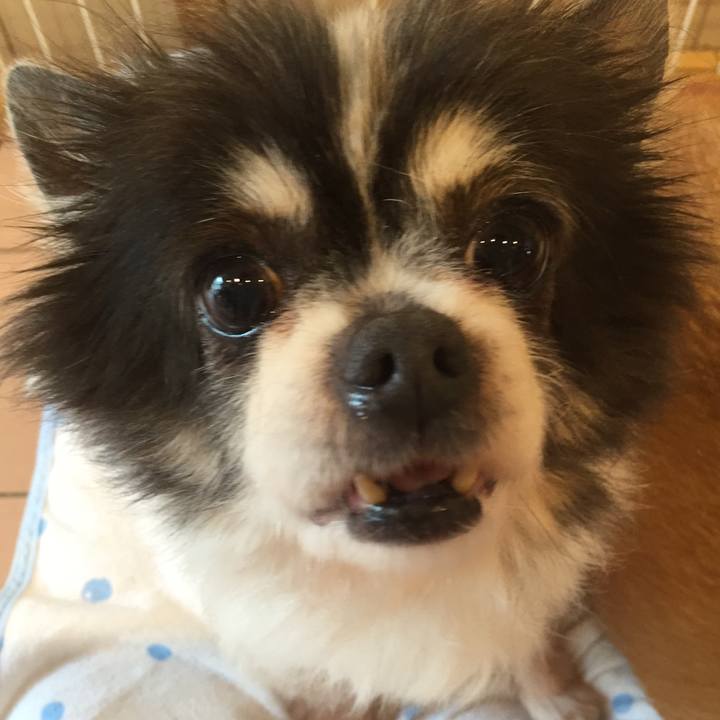 9229b908 19e0 444f b76a 6b377925d525