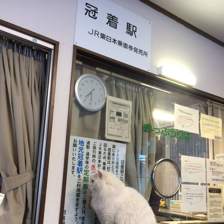 9229e5aa aa87 414d a1dc b3952048245c