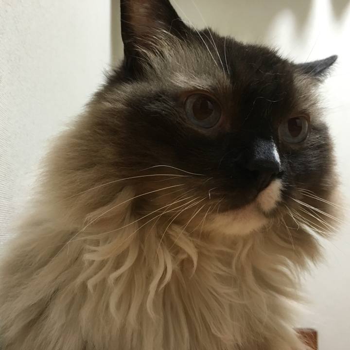 922a1269 56da 4a63 a5a2 2def2d04660c