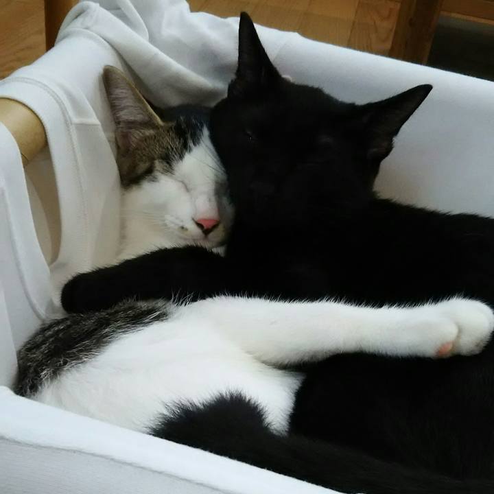 922bb251 8465 406e 99aa c62c31d9f7b4