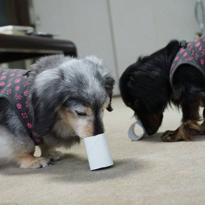 922c928d 0bfe 48d3 8dcc 959d46a00a52