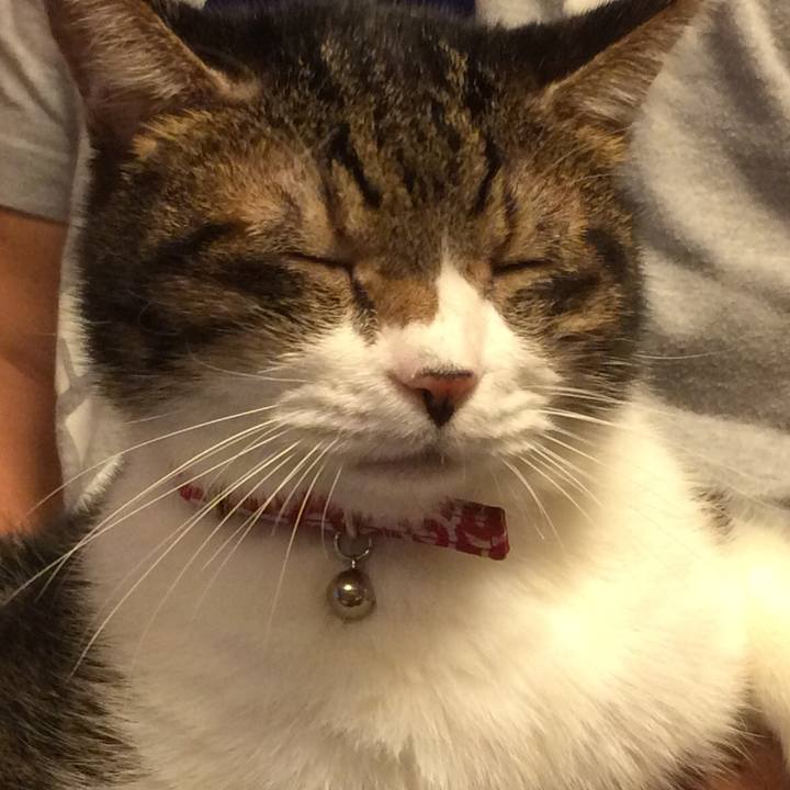 922cfe4c becc 4b79 ae93 1fad809a1a26