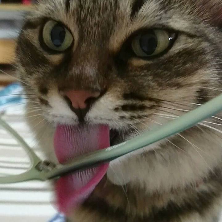 922d2000 92ee 449f 8f75 4097fbffbf14