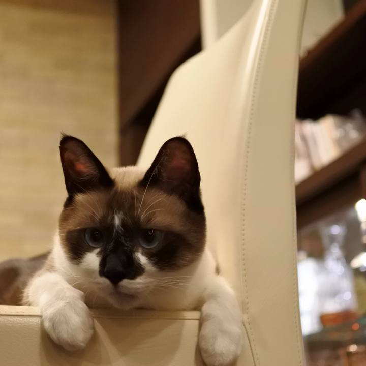 922d7f12 b15c 4cd0 a479 65fab8aebbb9