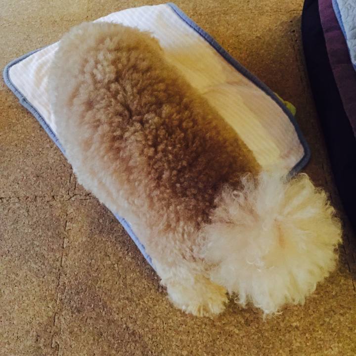 922d86af 1401 4404 a689 3ef592bbd356