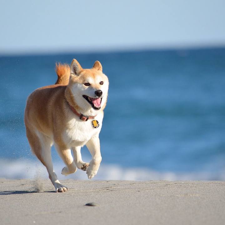 922e80da b954 4033 aebc ae51328d987a