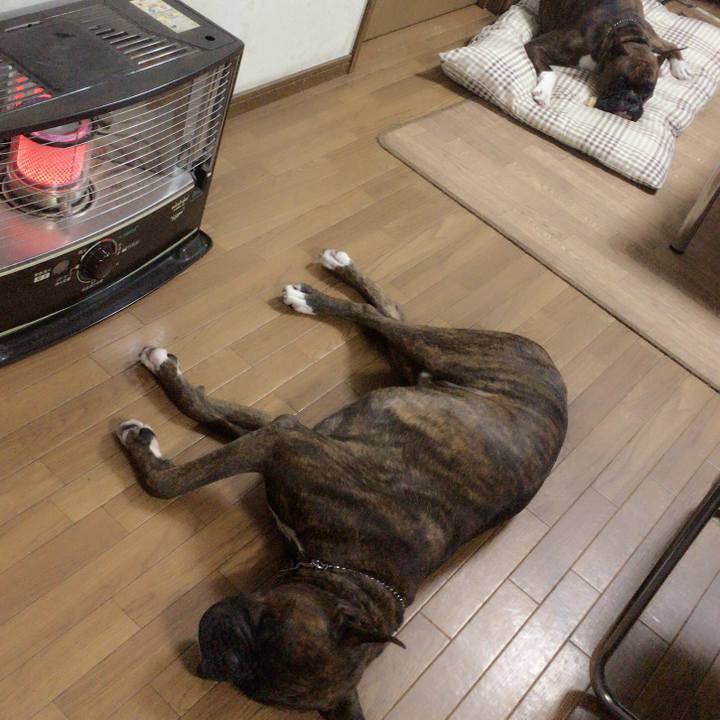 922ef6c7 109d 4f20 9632 62dedc9deadc