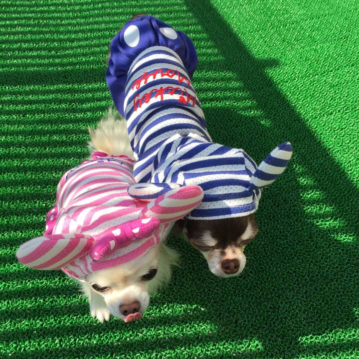 922f7976 56a2 4d33 a4f6 aa0dbe30e082