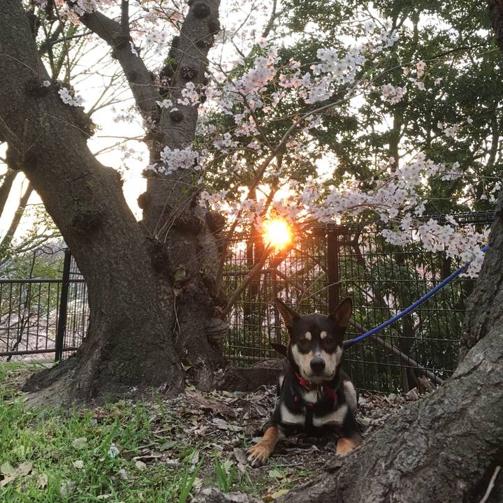 922fb03c cebb 415d b937 b7c4aa282936