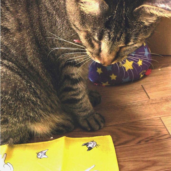 92300096 e2b3 4426 9c5d 78ab02f71fe5