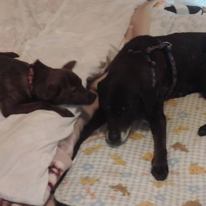 92300b22 45aa 4b6b ac51 8be77ba5f03d