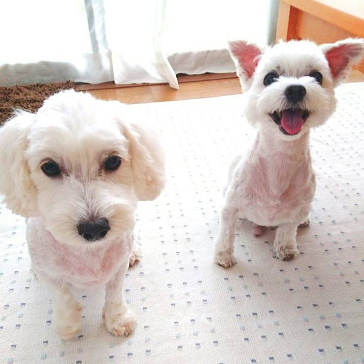 923033b9 fd6a 4c78 8a5d ab97479eae9e