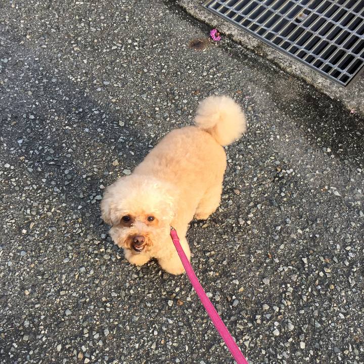 9230b17d 0945 4fc9 bb64 7a3bfef9967b