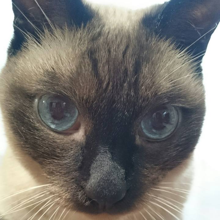 9230c154 1fce 494c 9cb8 d1d51adac5cc