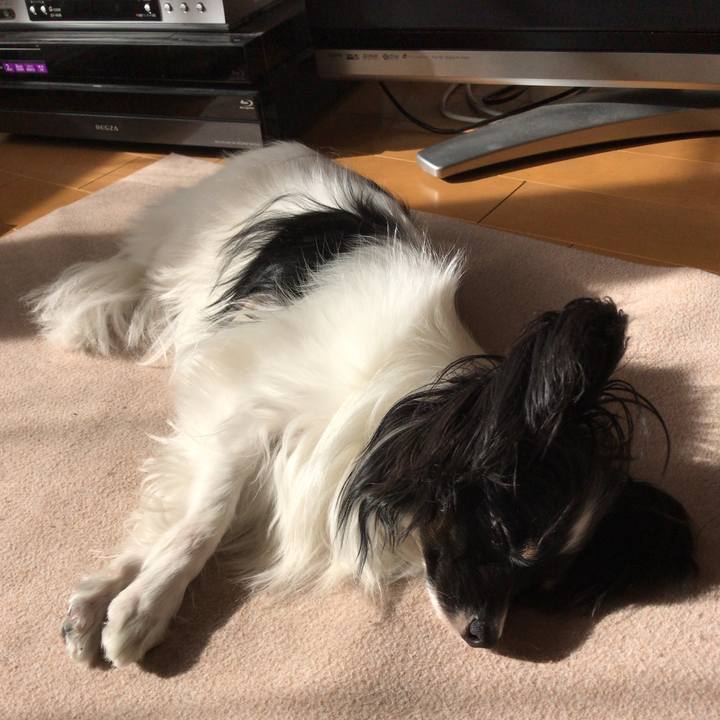 92313d35 113e 413f 963b 77c9eb0acb23