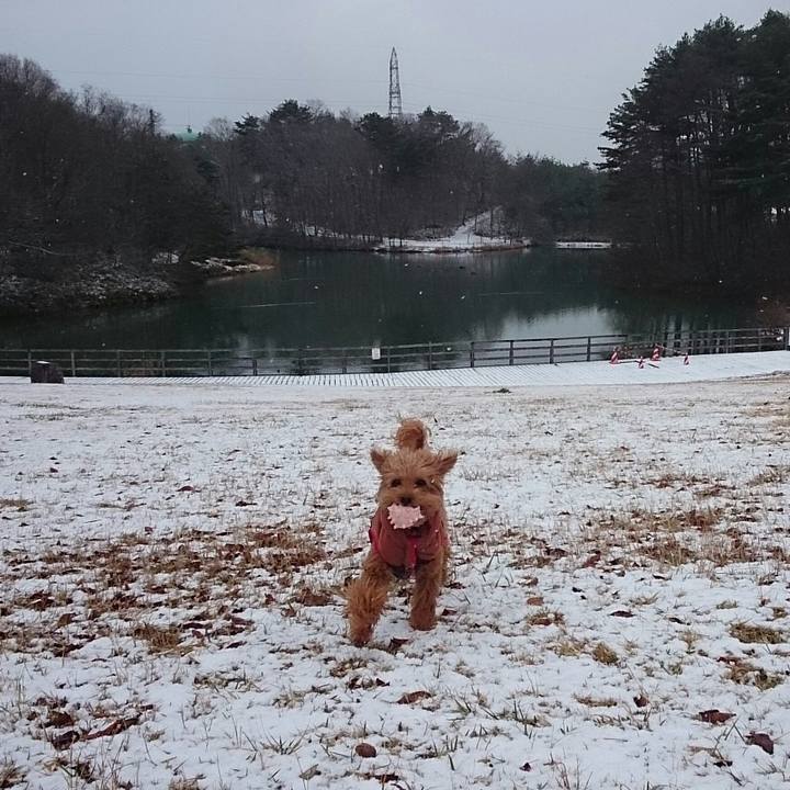 92319f31 98f9 48a5 94f1 49605a4ced48