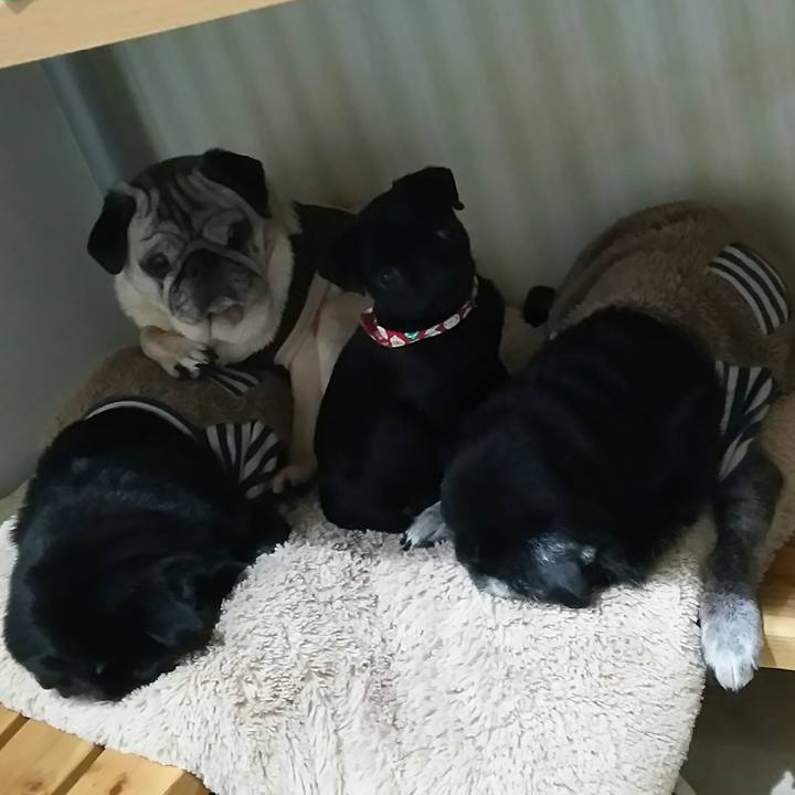 9231d5ab 4ed0 4b17 9be9 91ce1effb072