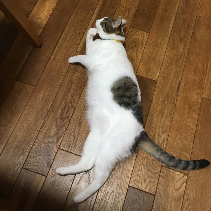 9232c814 6b06 4cb8 991c e34487a3d9fa