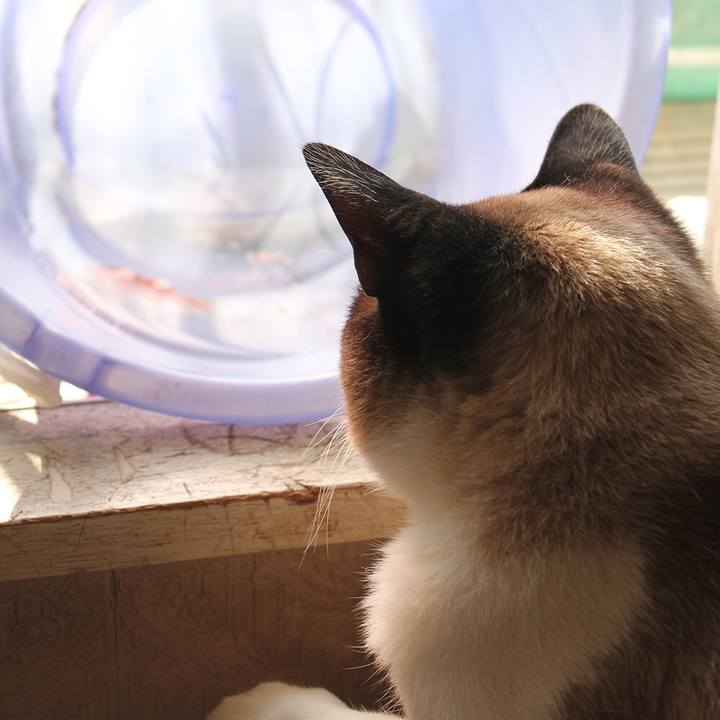 92347fcf 9277 446e b729 b6b778182200