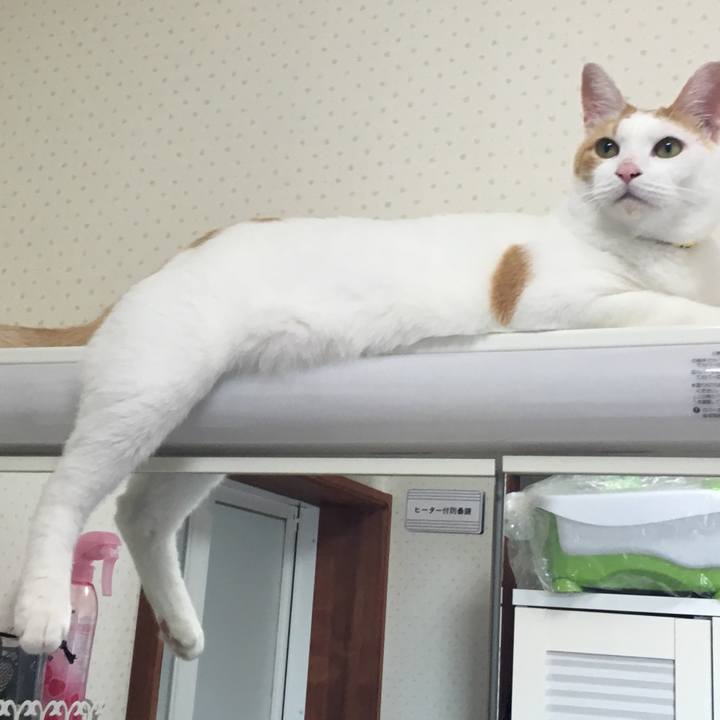 92348fb4 19d2 48c0 8813 f3744a305fc4