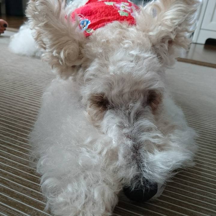 9234a915 3c7e 4435 8d31 7b5b5bb25dc9