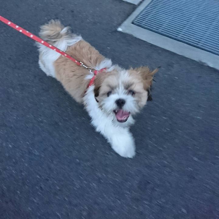 9234b6e8 4978 4697 8455 e4003beb91c3