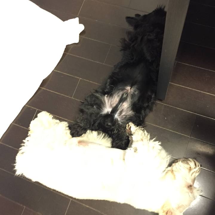 9235401a 7c9f 4c25 ad6f afbeee095655