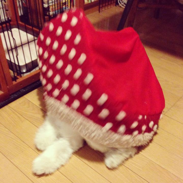 923575be 703f 4fe1 84fe 98c222dd90f9