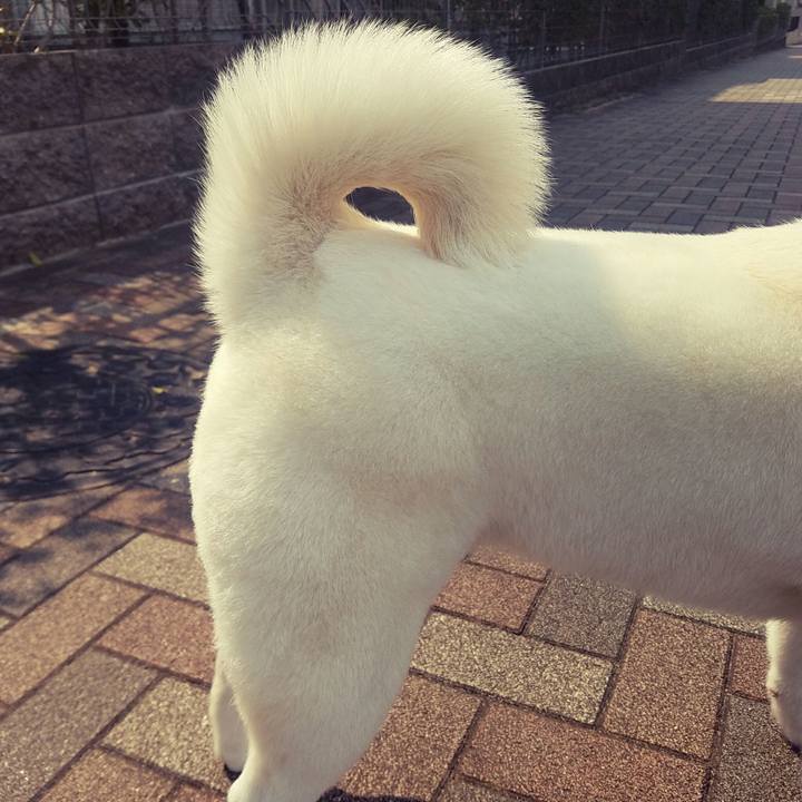 92362c87 9af6 44c4 967a 78ac01a51ec7