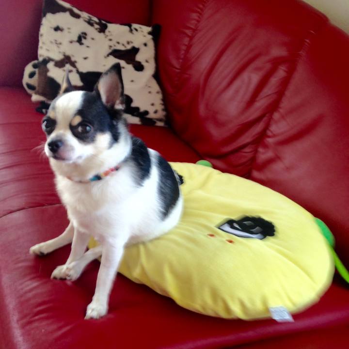 9236ee56 0d56 4139 bb5e 2caa781dd9aa