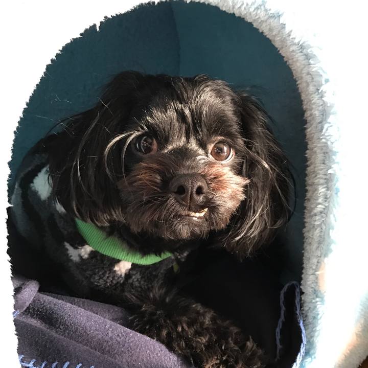 92373064 b456 439d b93c feda7ec2bd87