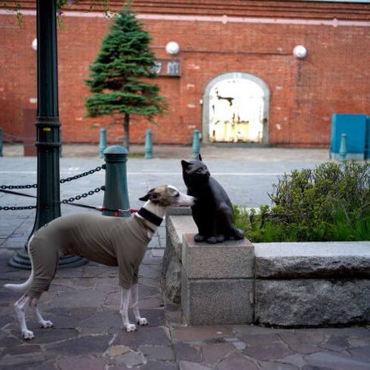 92379c4c bd52 4525 996c 2ddbf253c36b