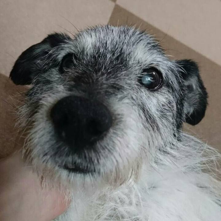 923880a3 77cf 4094 9e67 ffe631a1fd58