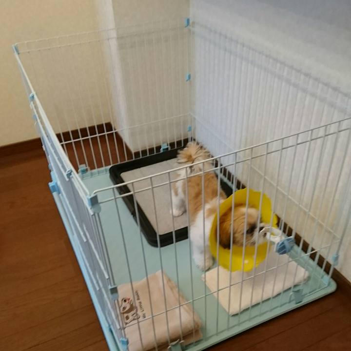 92389f7a 4ad4 40a0 9f85 e02a3b07e4f1