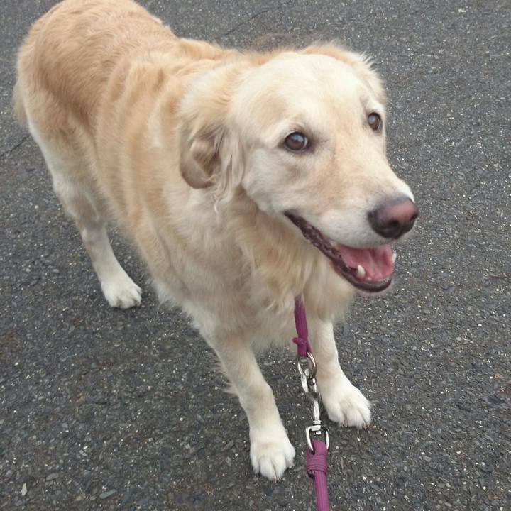 9238a188 43bc 4587 9f1e dc264dbb2374