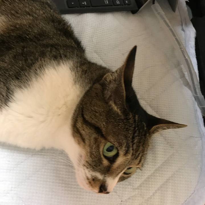 9238c91c 613f 4fdc 8b4a e83de8ee552c