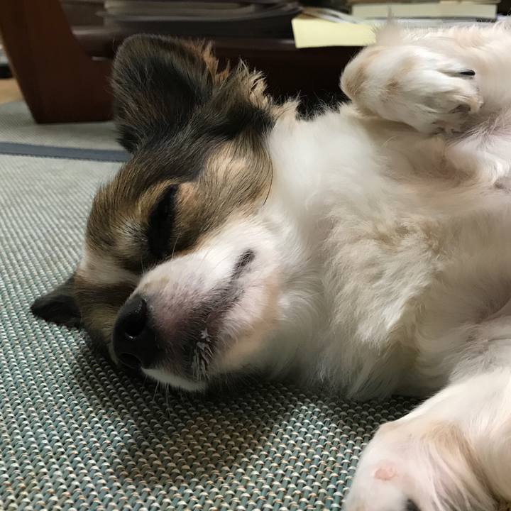 92391459 1879 4b96 aa27 5c5e2f596e7a