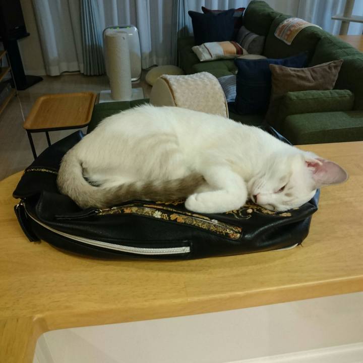 92393b7b 80a9 4e37 86ae 1484260741dd