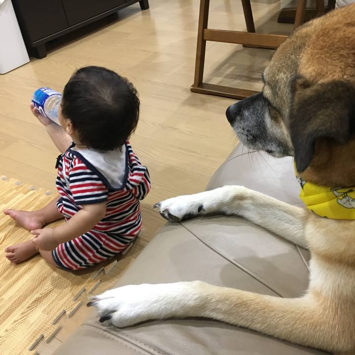 92393eaf 5a66 4ea1 b818 6d70711f12cb