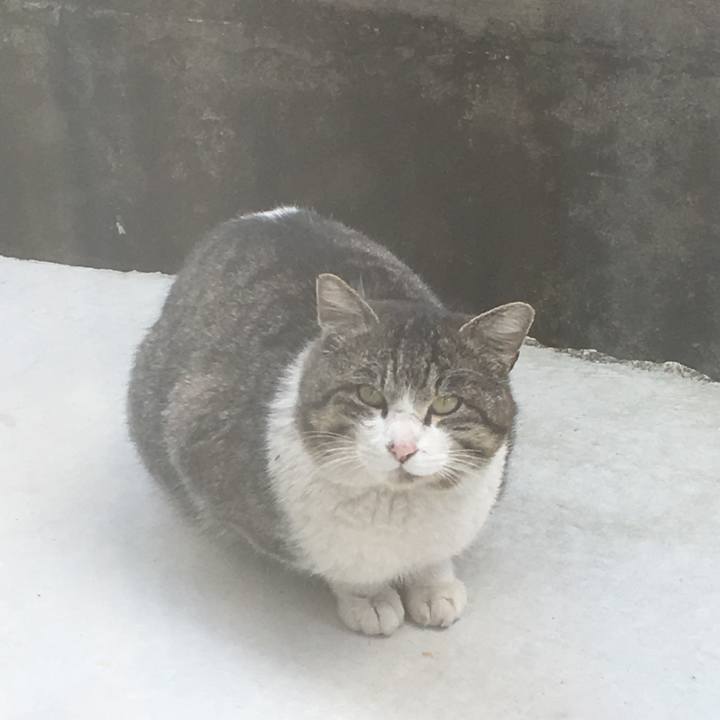 92397eba bd1c 4bb7 a342 a50ebfe5f20b