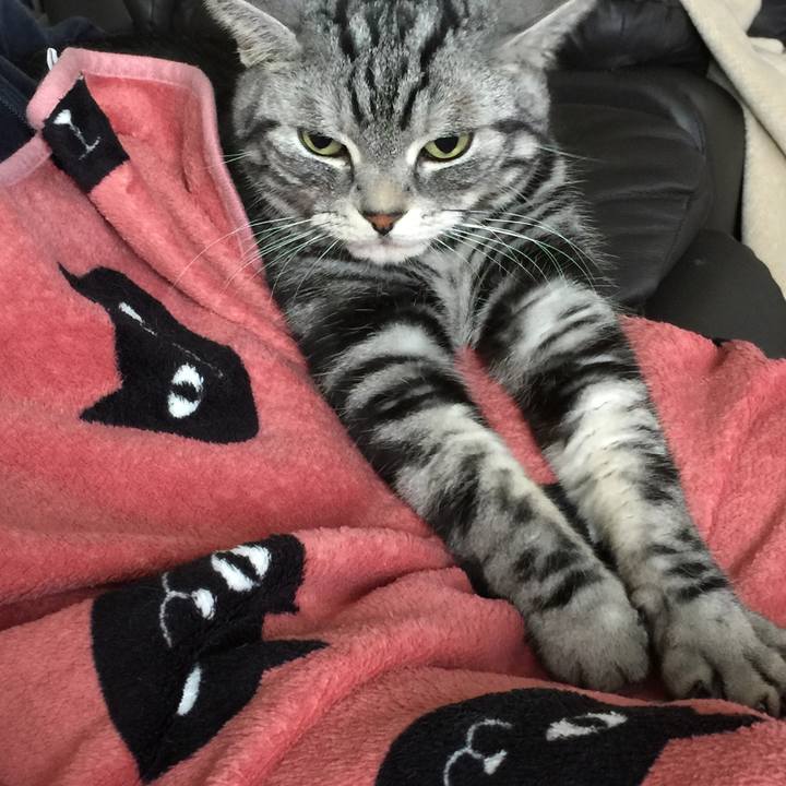 923a5b47 ba86 4855 b9e7 e1b80540869e