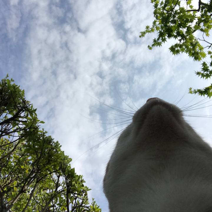 923ab2c9 f398 4c54 9a9d d21dabc5ac5b