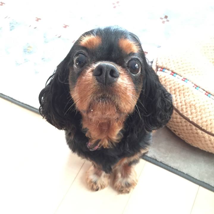 923abfbd d964 4289 b64f 7e04b4aac0fb