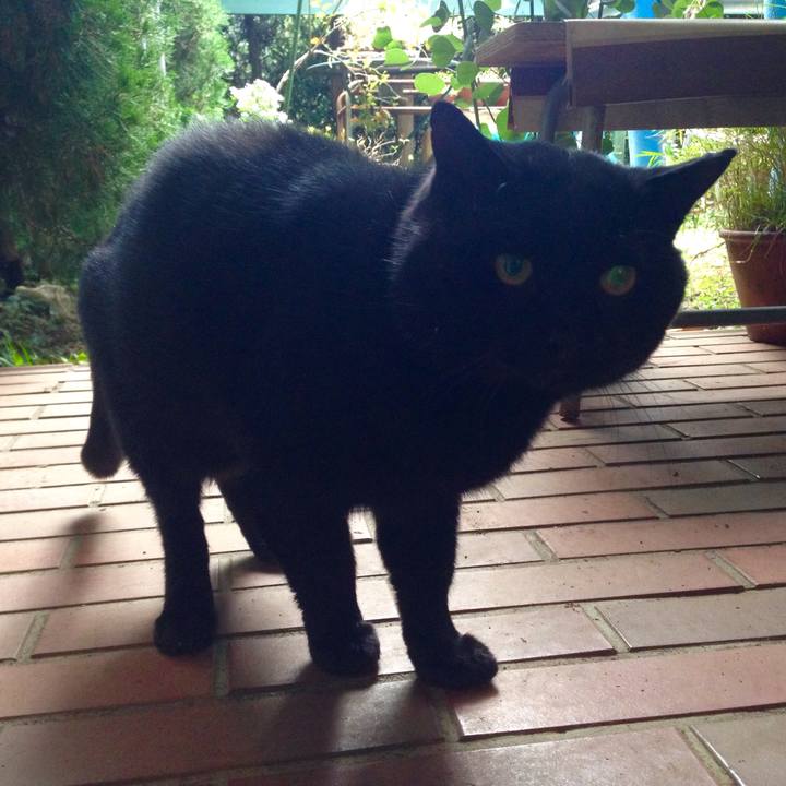 923b0358 5dbe 4dd3 9d2d 506f9a621e39