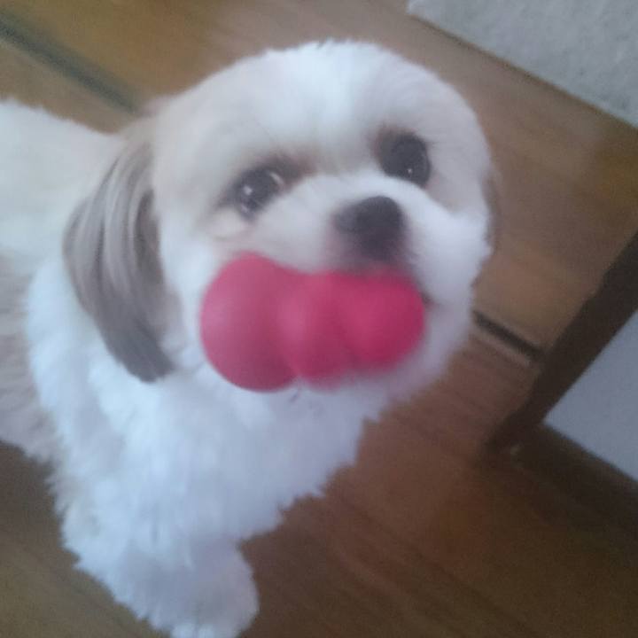 923b8c7b fe0f 4031 aa7b f1afb65bd1fe