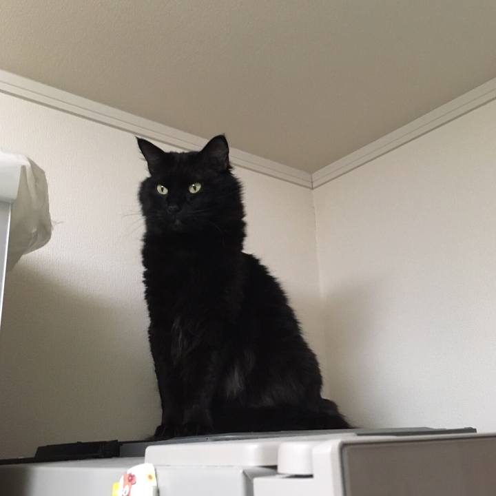 923bb0e0 07b8 4f59 9e5a ecbf6035f9f1