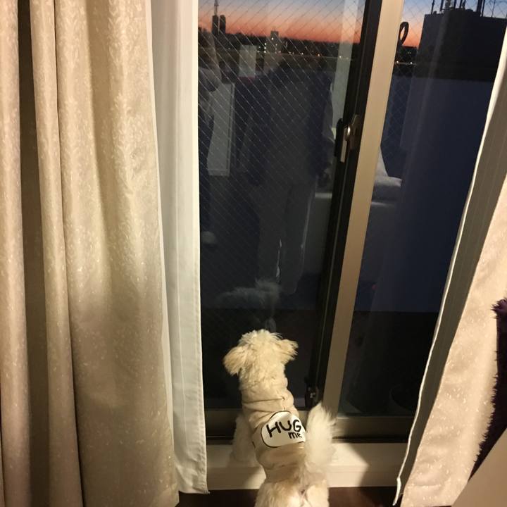 923bed78 5ca5 4935 b478 16e3f65263cd