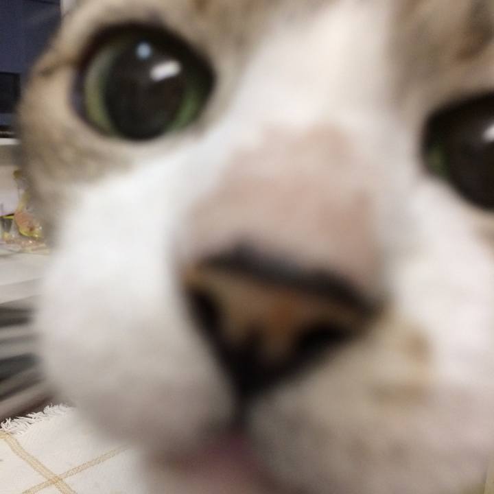 923c57d6 41b9 4c67 b0d1 f4f8674c5758