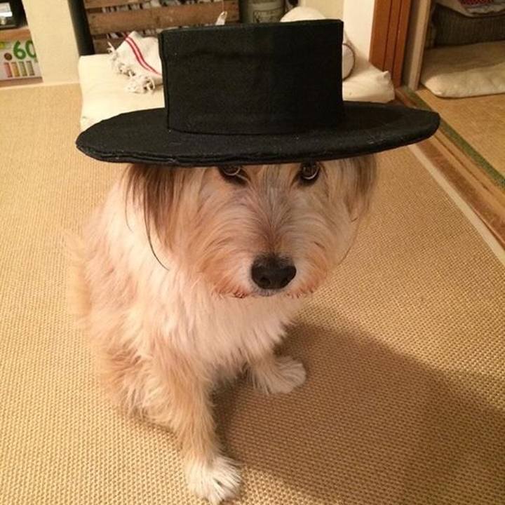 923c5bca e17e 4483 8067 f11e6ad7323a