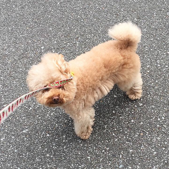 923cecd6 75da 4bf2 b134 b1f9d91ec1d4